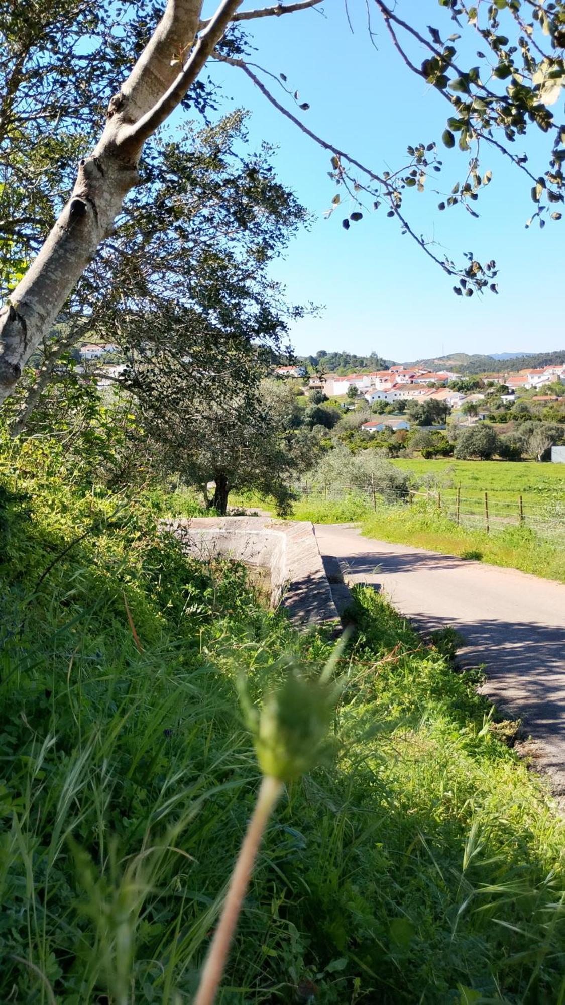 Paraiso Da Aldeia São Bartolomeu de Messines Exterior foto